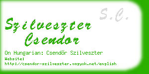 szilveszter csendor business card